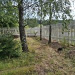 Valkoinen pystyrima-aita puiden lomassa, Solvikintie, Kirkkonummi